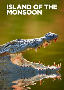 Pôster de Island of the Monsoon