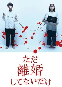 Affiche de We Are Just Not Divorced