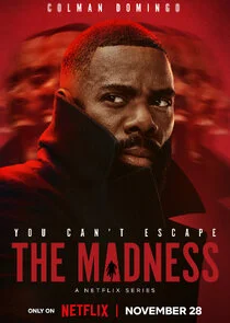 Poster di The Madness