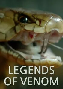 Pôster de Legends of Venom