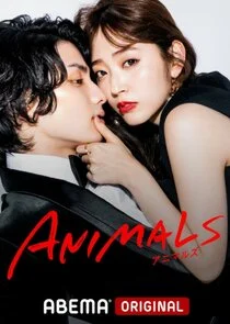 Plakat Animals