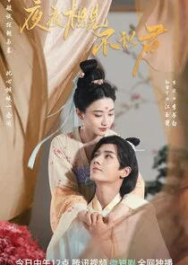 Plakat My Decoy Bride