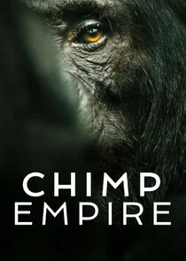 Pôster de O Império dos Chimpanzés