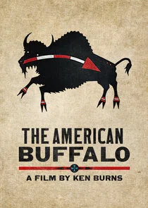 Pôster de The American Buffalo