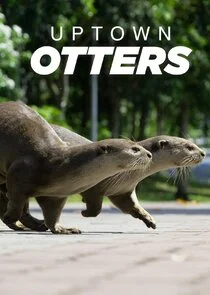 Pôster de Uptown Otters