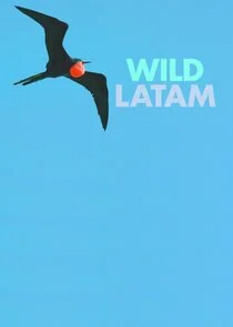 Plakat AmÄ‚Â©rica Salvaje