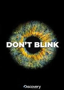 Don't Blink poster