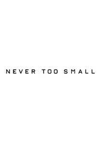 Never Too Small poster