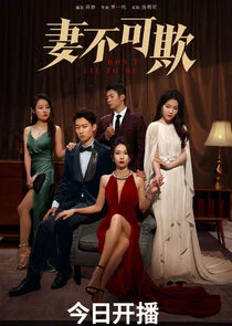 Don't Lie to Me poster