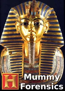 Mummy Forensics poster
