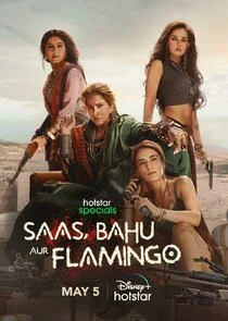 Saas, Bahu Aur Flamingo poster