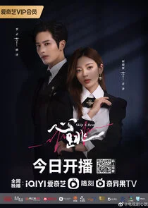 Affiche de Skip a Beat