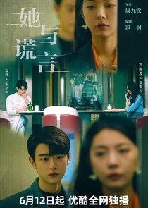 Affiche de The Lady and the Lies