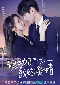 Affiche de Love Starts After Divorce