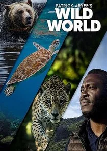 Pôster de Patrick Aryee's Wild World
