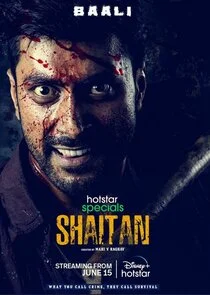 Affiche de Shaitan