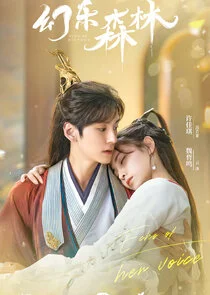 Echo of Her Voice poster