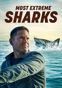 Affiche de Most Extreme Sharks