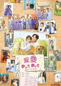 My Pet My Angel poster