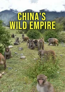 China's Wild Empire poster