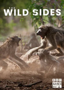 Affiche de The Wild Sides