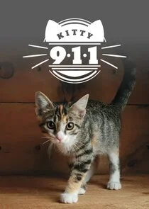 Kitty 911 poster