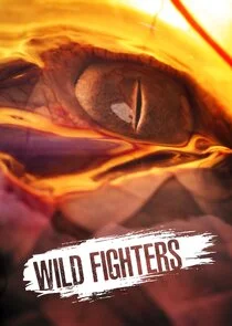 Affiche de Wild Fighters
