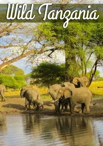 Affiche de Wild Tanzania