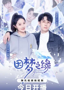 Destiny of Dreams poster