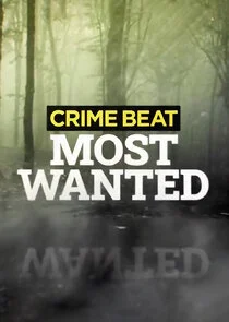 Crime Beat: Most Wanted Poster