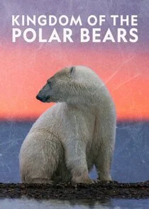 Affiche de L'ours polaire: son odyssée