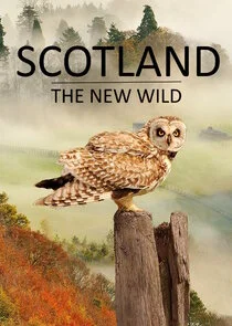 Affiche de Scotland - The New Wild