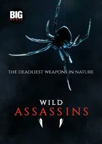 Affiche de Wild Assassins