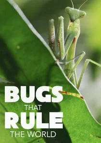 Póster de Bugs that Rule the World