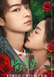 Affiche de You Complete Me