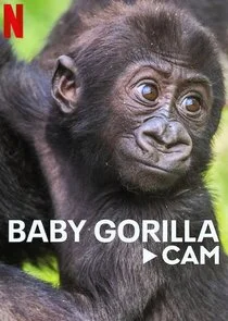Póster de Baby Gorilla Cam