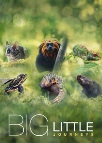 Póster de Big Little Journeys