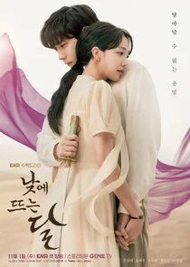 Moon in the Day poster