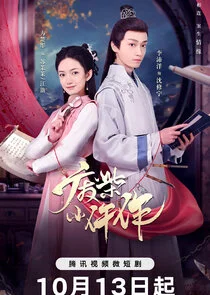 Affiche de Fei Chai Xiao Wu Zuo