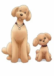 Plakat Dog Signal