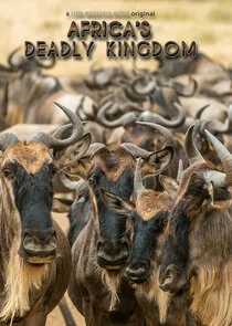 Póster de El reino letal de Ăfrica