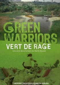 Póster de Vert de rage