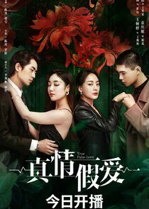 Affiche de True False Love
