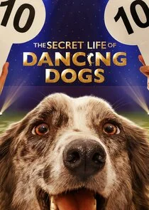 Póster de The Secret Life of Dancing Dogs