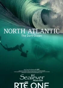 Póster de Atlántico Norte: el océano oscuro