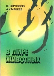 Póster de Äâ€™ ÄÄ˝ÄÂ¸Ĺâ‚¬ÄÂµ ÄÂ¶ÄÂ¸ÄË›ÄÄľĹâ€šÄËťĹâ€ąĹâ€¦
