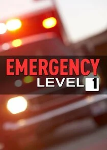 Affiche de Emergency Level 1