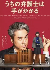 Poster di My Lawyer Is Not So Easy