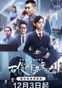 Poster di The Prosecutor and His Cases