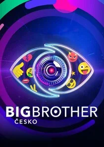 Póster de Big Brother